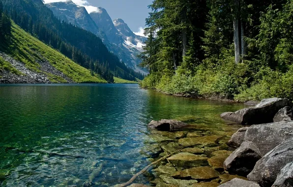 Картинка лес, горы, река, камни