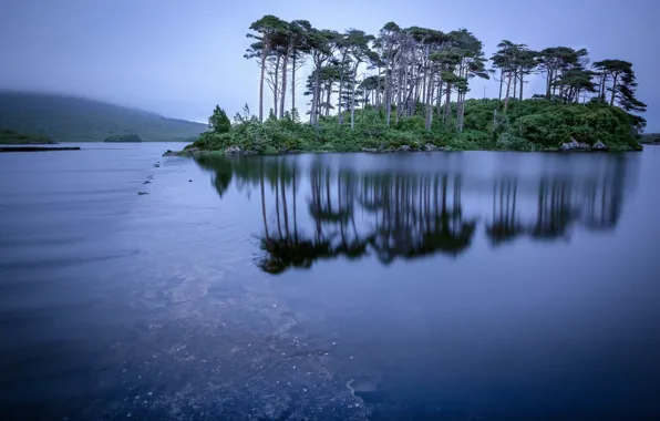 Деревья, озеро, отражение, остров, Ирландия, Ireland, Connemara, Коннемара