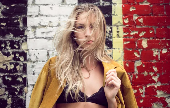 Картинка взгляд, девушка, лицо, фон, волосы