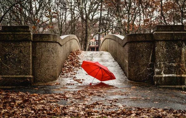 Осень, красный, мост, город, зонтик