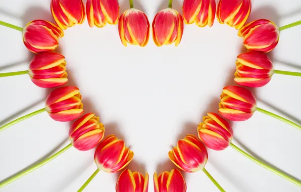 Сердце, весна, тюльпаны, 8 марта, heart, beautiful, tulips, color