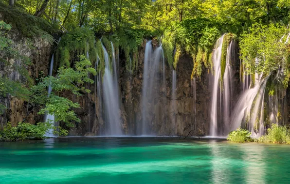 Деревья, водопад, Хорватия
