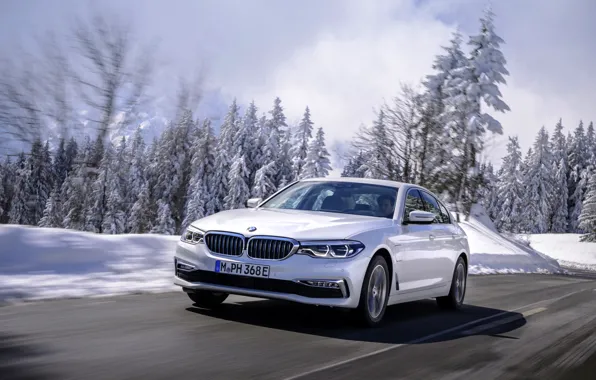 Белый, снег, деревья, BMW, седан, гибрид, 5er, четырёхдверный