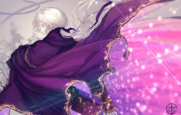 Парень, плащ, Avenger, Судьба/великая Кампания, Fate / Grand Order, Edmond Dantès