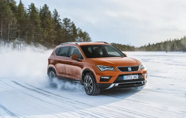 Зима, снег, SUV, Seat, 2017, 4Drive, Ateca