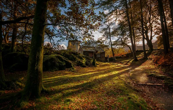 Картинка осень, Уэльс, Snowdonia, Dolbadarn castle