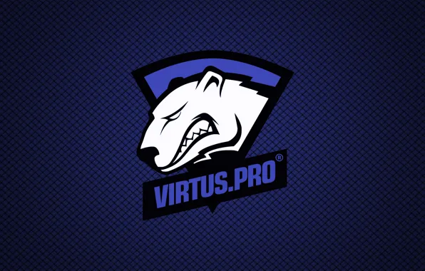 Dota, WoT, csgo, dota 2, bears, cybersport, virtuspro