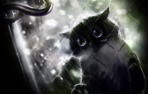 Картинка дождь, окно, ручка, черный кот