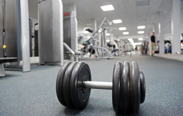 Metal, gym, dumbbell