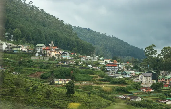 Картинка зелень, поле, горы, природа, дома, деревня, Nature, mountain