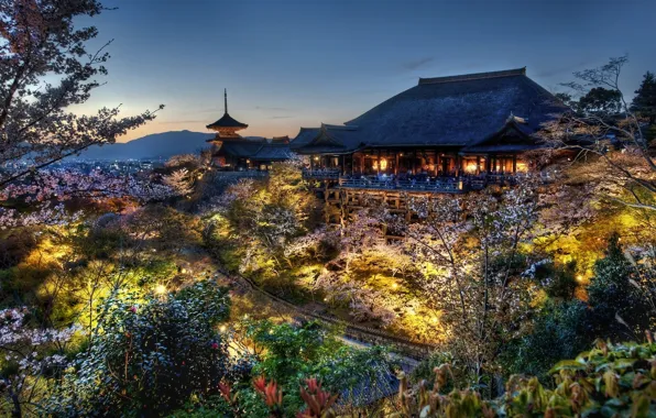 Картинка лес, дом, япония, вечер, сакура, киото, дом самураев