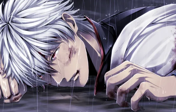 Картинка дождь, кровь, порез, парень, Gintama, Sakata Gintoki