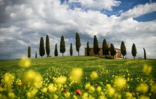 Картинка облака, деревья, пейзаж, цветы, природа, весна, Италия, луга