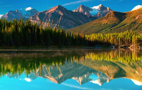 Картинка лес, горы, озеро, Канада, Herbert