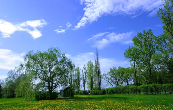 Картинка небо, трава, облака, деревья, цветы, луг, домик, одуванчики