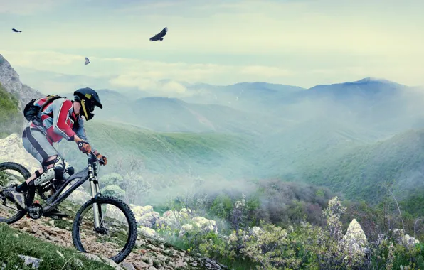 Горы, птицы, велосипед, человек, шлем
