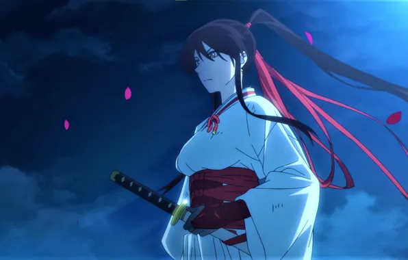 Небо, ночь, катана, аниме, лепестки, кимоно, хвостик, Yamada Asaemon Sagiri