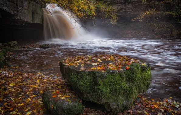 Осень, ветки, камни, скалы, берег, листва, водопад, поток