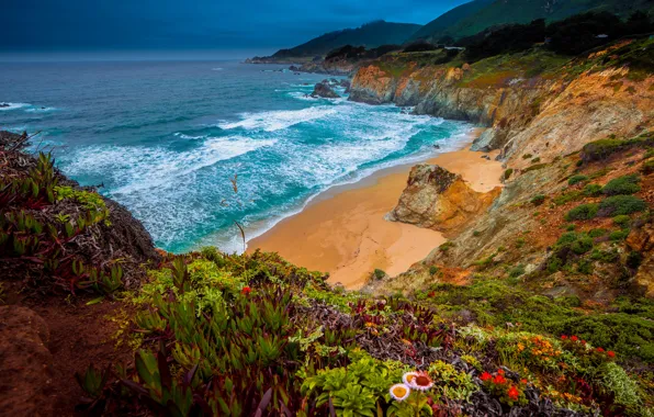 Пляж, цветы, океан, скалы, побережье, Pacific Ocean, California, Тихий океан