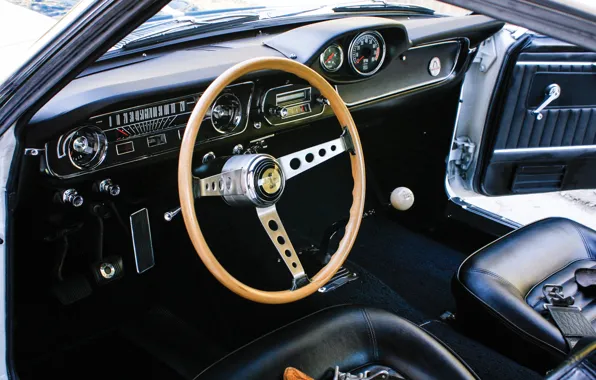Картинка Mustang, Ford, Ford Mustang Shelby GT350, steering wheel, torpedo