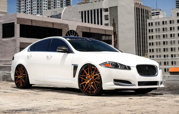 Jaguar, wheels, with, Forgiato