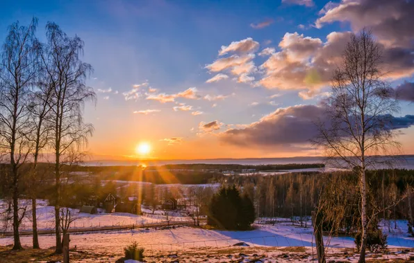Картинка зима, дорога, лес, солнце, деревья, закат, поселок