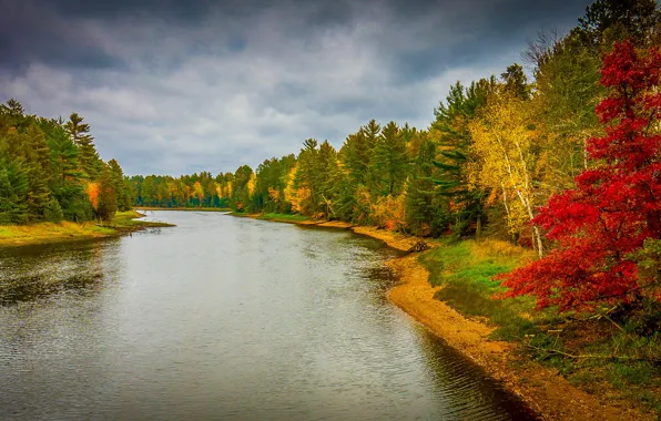 Осень, деревья, пейзаж, река, красиво