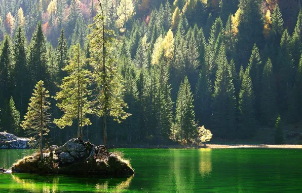Картинка лес, деревья, скала, озеро, остров, склон