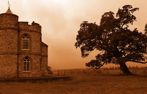 Картинка поле, замок, дерево, castle and the tree