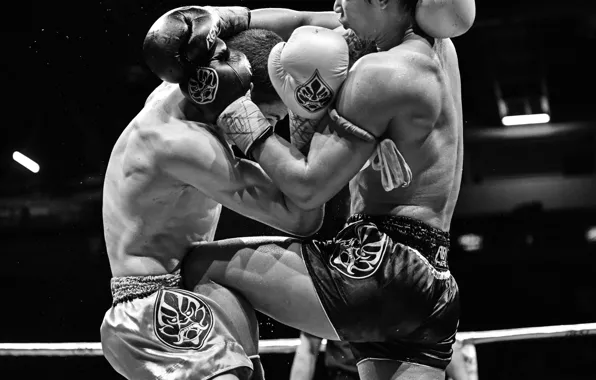Соревнования, Fight, Muay Thai