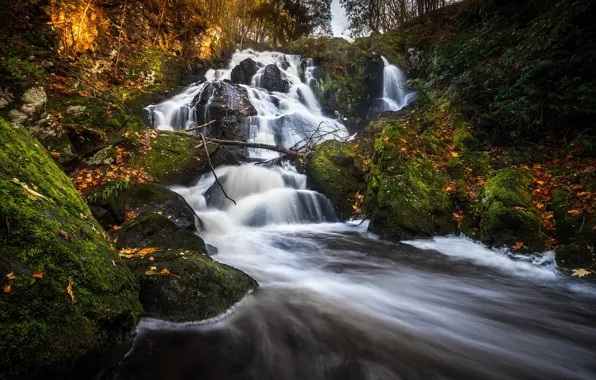 Картинка осень, лес, водопад, речка, Швеция