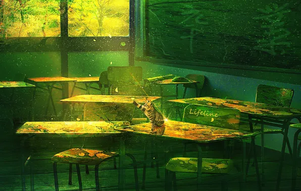 Кошка, заброшенный, класс