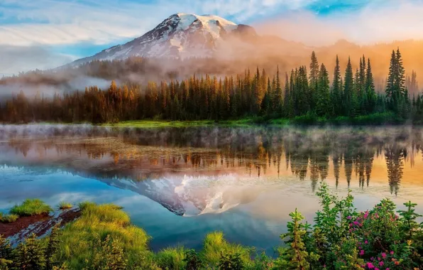 Картинка forest, river, landscape, nature, mountains, reflection