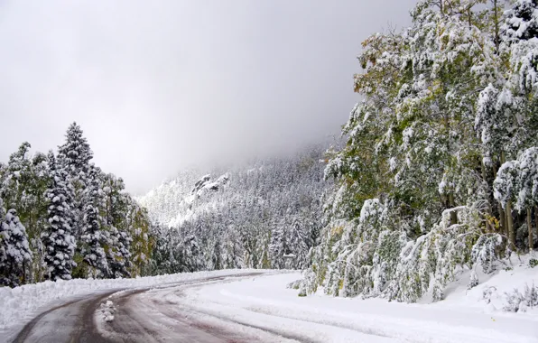 Картинка зима, дорога, небо, снег, деревья, поворот