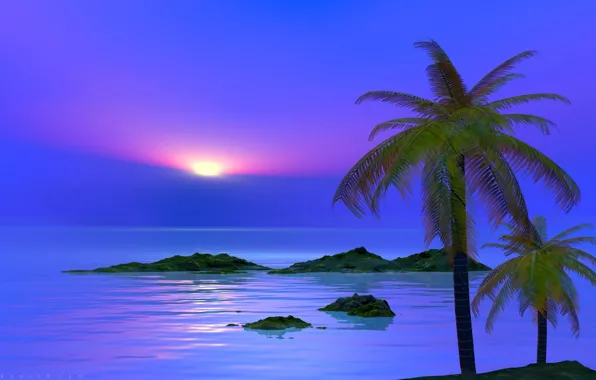 Картинка море, небо, облака, пейзаж, закат, природа, пальма, остров