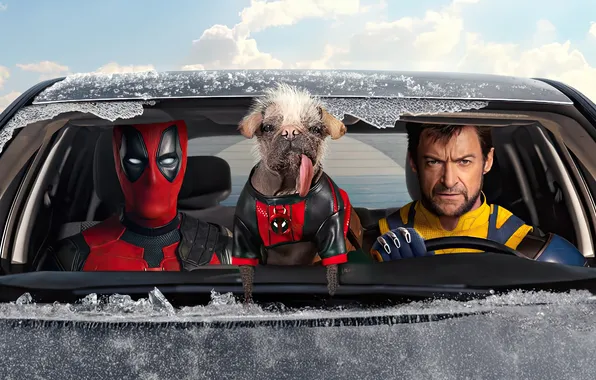 Машина, собака, Росомаха, Дедпул, Deadpool & Wolverine
