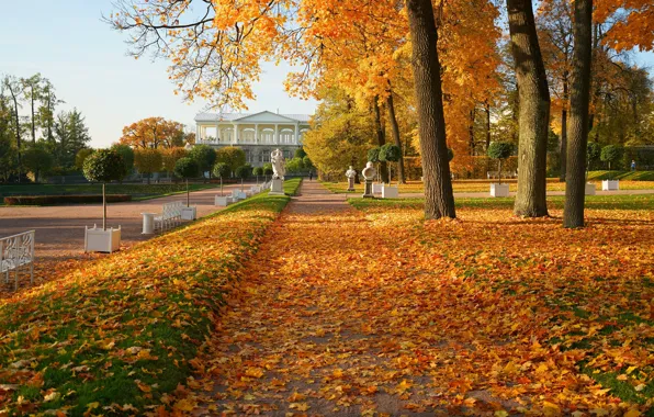 Город, парк, листва, архитектура, аллея, скульптуры, Пушкин, Царское село