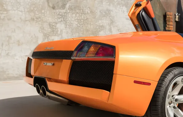 Lamborghini, Murcielago, rear view, Lamborghini Murcielago Roadster