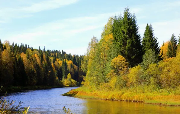 Картинка осень, лес, деревья, река, берег, Россия, Пермский край