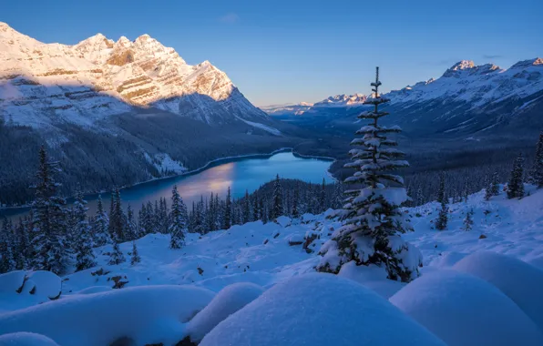 Картинка зима, снег, горы, озеро, ели, Канада, сугробы, Альберта