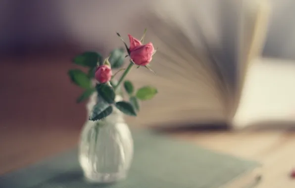 Картинка розы, букет, фокус, книга, ваза, розовые