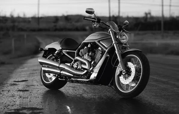 Картинка мотоцикл, Harley Davidson, байк, мотор, чёрно-белый, харлей девидсон, v-rod