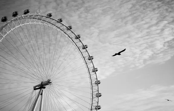 Картинка небо, облака, птицы, лондон, чёрно-белое, колесо обозрения, london, london eye