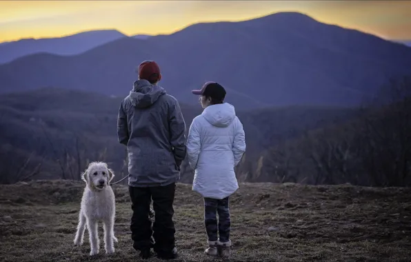 Горы, природа, люди, собака, nature, dog, mountains, people