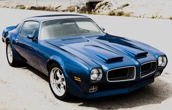 Blue, Pontiac, Firebird, 1972