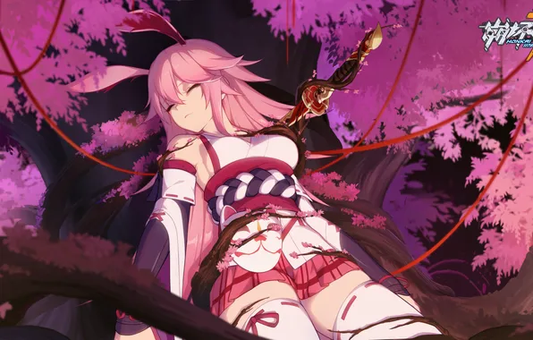 Sexy gir, yae sakura, honkai impact