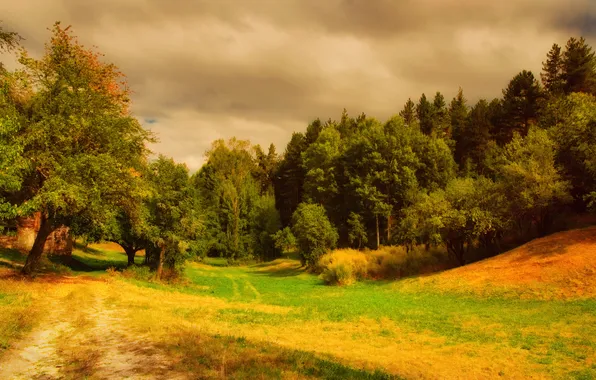 Природа, красота, деревня