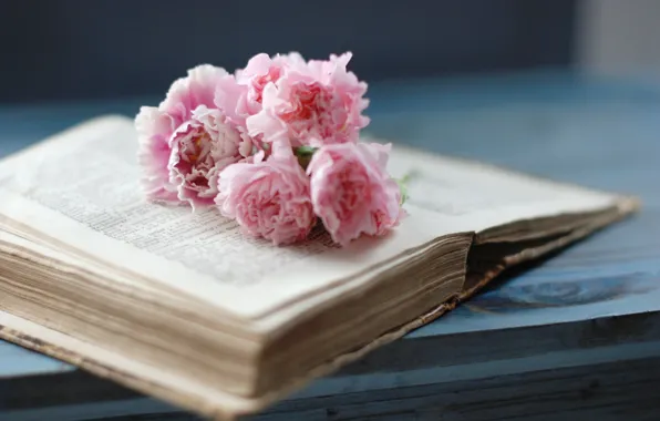 Цветы, книга, розовые, страницы, старая, гвоздики
