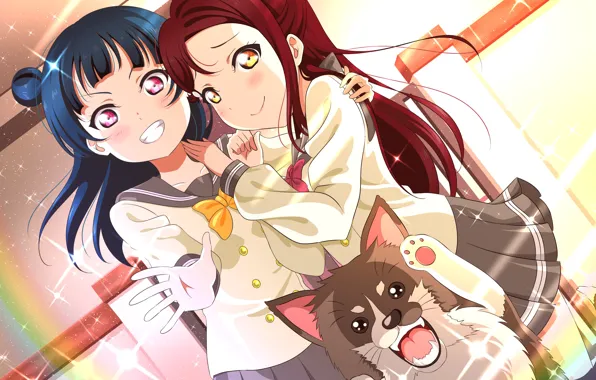 Фон, девочки, собака, арт, Love Live School Idol Project, Живая любовь