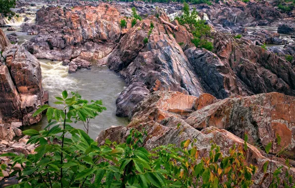 Water, rocks, stream, foliage